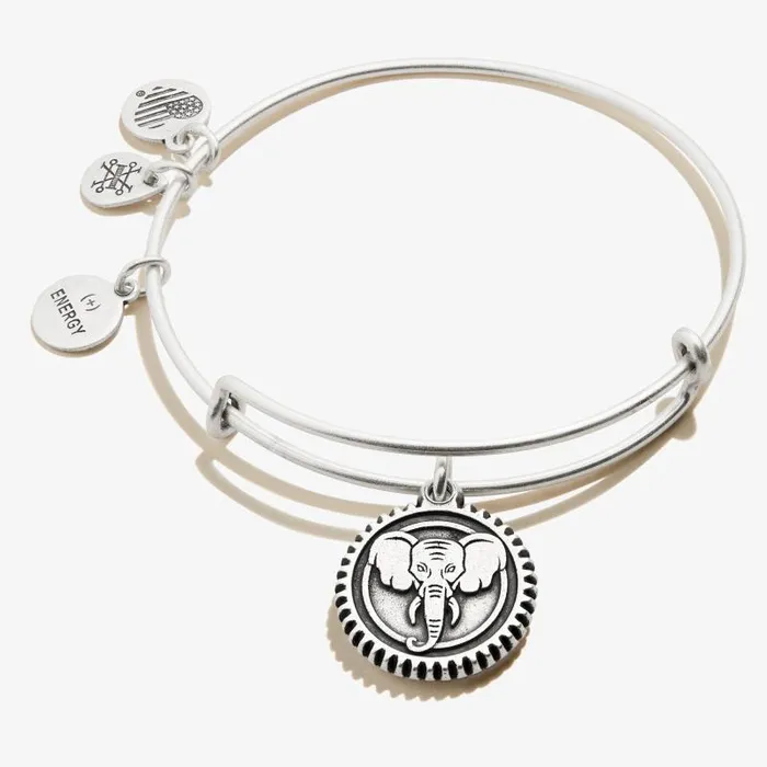 Bracelets Women Alex And Ani Elephant Embossed Charm Bangle Rafaelian Gold