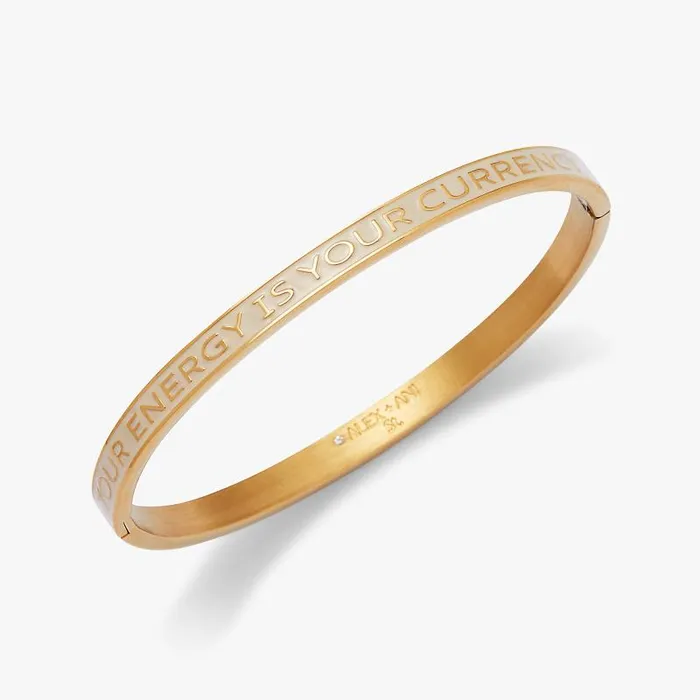 Bracelets Women Alex And Ani Your Energy Is Your Currency039 Hinge Bangle Stainless Steel Gold
