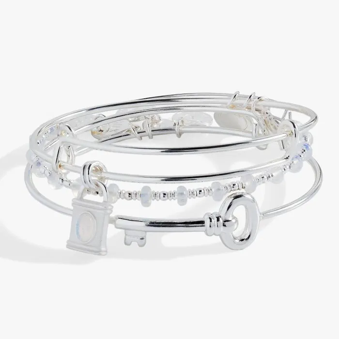 Jewelry Sets Women Alex And Ani Lock And Key Bangle Set Of 3 Gold
