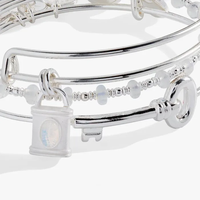 Jewelry Sets Women Alex And Ani Lock And Key Bangle Set Of 3 Gold
