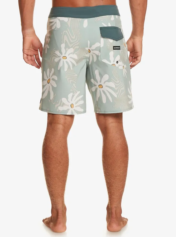 Quiksilver Surfsilk 69 18034 Boardshorts Iceberg Green Mens Shorts and Amphibians
